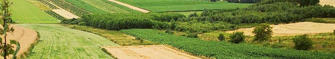 Konwersja czyli przestawienie gospodarstwa na rolnictwo ekologiczne