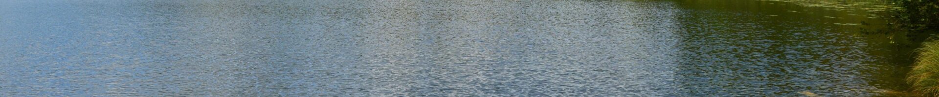 Rodzinny Piknik Ekologiczny: Hydrosymfonia Nakła. Park, który oddycha wodą